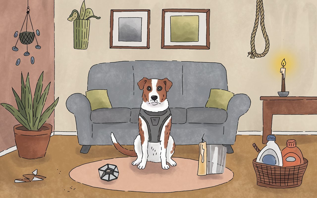 Dangerous Household Plants for dog